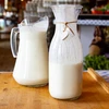 Bakterijske kulture za jogurt - 2 