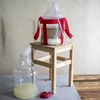 Balon za vino lagan, nelomljiv, s remenima, 10 L - 16 