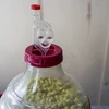 Balon za vino lagan, nelomljiv, s remenima, 25 L - 13 