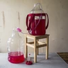 Balon za vino lagan, nelomljiv, s remenima, 25 L - 19 