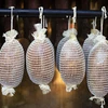 Bijela mreža za dimljenje 22 cm x 4 m do 220°C - 13 
