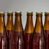 Boca za pivo 0,5 L - paket 8 kom. - 5 