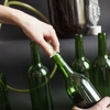 Boca za vino 0,75L s čepovima i kapicama - 12 kom. - 8 