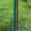 Čelični štap obložen PE 1,5 m x 11 mm - 3 