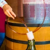 Crijevo za pretakanje vina s pumpicom - 10 