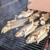 Drvna sječka za dimljenje/roštiljanje, trešnja, 450 g, kl. 2 - 13 