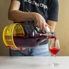 Enovini® OK RED - vinski kvasac za smanjenje kiselosti 7 g - 10 