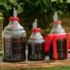 Enovini® OK RED - vinski kvasac za smanjenje kiselosti 7 g - 8 