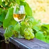Enovini® OK WHITE - vinski kvasac za smanjenje kiselosti 7 g - 9 