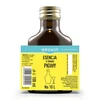 Esencija okusa dunje za 10 L - 100ml - 5 