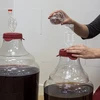 Fermentacijska cijev 6-komorna v2 - 10 