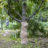 Jutena traka 10 cm/5 m - 5 