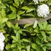 Jutena traka 5 cm / 8 m - 5 