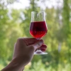 Klarowin - sredstvo za bistrenje 100 g - 2 