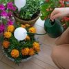 Kugla za navodnjavanje biljaka, bijela mat s keramičkom nogom, 400ml - 8 
