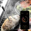 Kulinarski termometar s bežičnom Bluetooth sondom - 13 