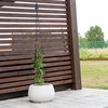 Metalna pergola - Piramida, 135 cm - 4 