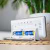 Meteorološka stanica RCC, DCF – elektronička, bežična, s osvijetljenim senzorom, bijela - 13 