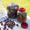 Nerazbijajuća, višenamjenska staklenka za fermentaciju, 8L - 4 