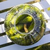 Nerazbijajuća, višenamjenska staklenka za fermentaciju, 8L - 5 