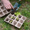 Papirnate posude 4,5 x 5 x 4,5, set od 5 kom. - 5 