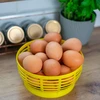 Plastična košarica za Dam 5L, žuta - 8 