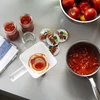 Poklopac fi 66/4 povrće na bijeloj pozadini - 10 kom. - 4 