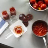 Poklopac fi66 škotski karirani mix, 10 kom. - 7 