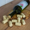Prirodni cilindrični čep d.22x38 -100 kom. aglomerat - 3 
