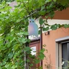 Reflektirajući privjesak za odstranjivanje ptica - sova s zvončićima - 10 