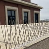 Šiljci za ptice, na plastičnoj traci, 10 kom. - 12 