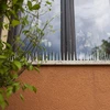 Šiljke protiv ptica - 40x9x8,5cm, 3 kom. - 3 