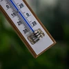 Sobni termometar s bijelom skalom (-30°C do +50°C) 20cm - 4 