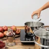 Sokovnik od nehrđajućeg čelika s parnim kuhalom 5 L - 13 