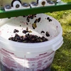 Spremnik za fermentaciju 30 L s poklopcem i slavinom - 17 