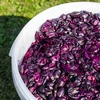 Spremnik za fermentaciju 30 L s poklopcem i slavinom - 16 