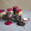 Staklenka Amfora 580 ml (fi 82) s bordo poklopcem 6 kom - 5 