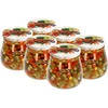 Staklenka twist-off 500ml "Obrnuta Amfora" s obojenim poklopcem fi 82/6, 6 kom. - 5 