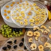 Sušilica za gljive, voće, povrće i bilje 125 W - 11 