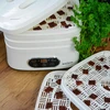 Sušilica za gljive, voće, povrće i bilje s regulacijom temperature, 240W, bijela - 22 