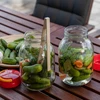 Tegla TO 3 L s plastičnim poklopcem + hvataljke fi 100 - 10 