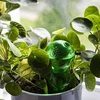 Trostruka kugla za navodnjavanje (trokamorna), prozirna zelena, 600 ml - 7 
