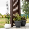 Ukrasna pergola - Piramida, 150 cm - 6 