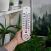 Univerzalni bijeli termometar s higrometrom (-20°C do +50°C) 25cm - 3 