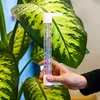 Vanjski termometar s prozirnom skalom (-70°C do +50°C) 23cm mix - 3 