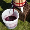 Vinski kvasac Burgund bez razmnožavanja, 20 ml - 4 