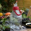 Vinski Set Easy – jednostavan način za domaće vino - 16 
