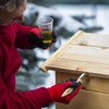 Vrtna drvena pušnica 200 L – dragON Wood 100E s električnim grijaćim modulom i upravljačem - 14 