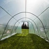 Vrtna staklenika (plastična) 3x6x2 m - 13 