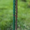 Vrtni kolci Bioogród – obloženi čelik, 1,8 m, fi 11 mm, 10 kom. - 5 